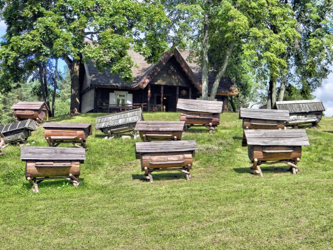 image_Bitininkystės muziejus