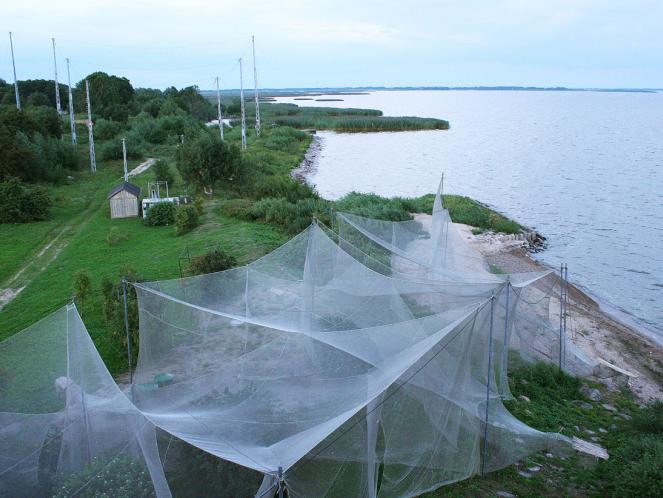 image_Ventė Cape Ornithological Station 