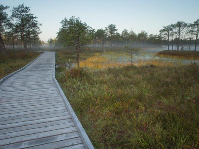 image_Meenikunno hiking trail