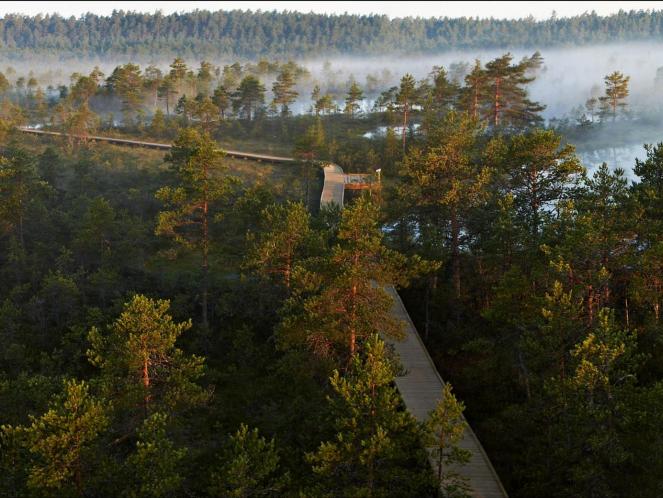 image_Viru bog study trail