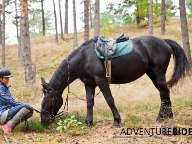 image_Adventure ride - horseback riding