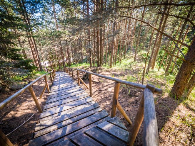 image_Rebastemäe nature trail