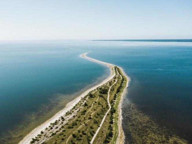 image_Sääretirp
