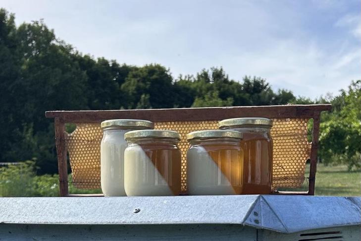 Medaus slėnis slide-3