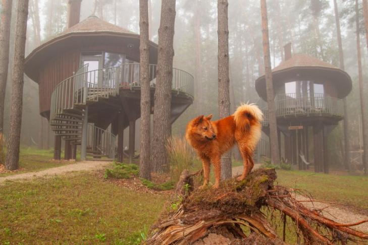 LVM nature park`s glamping slide-12