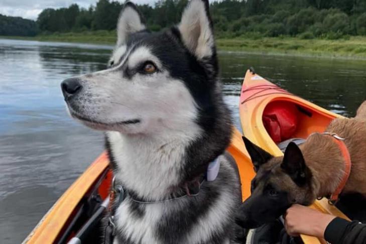 KEMPINGS DAUGAVAS LOKOS slide-31