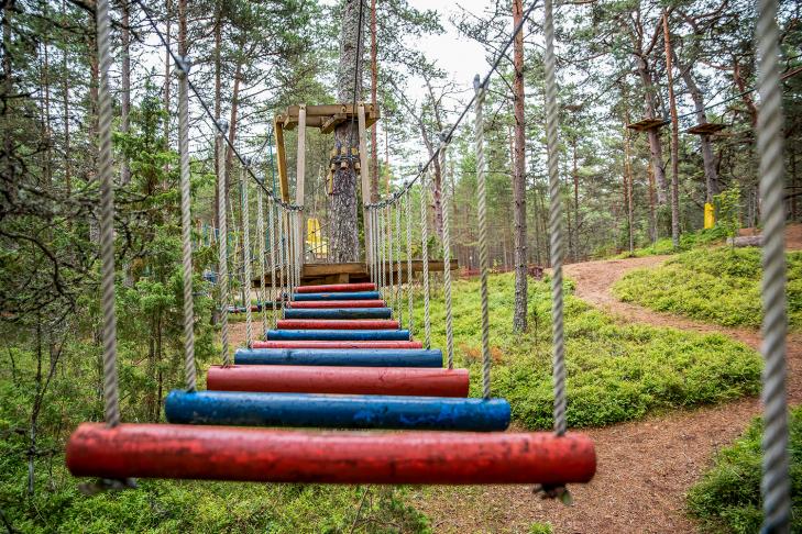 Roosta Adventure Park slide-1