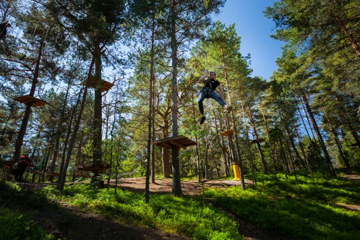 Roosta Adventure Park slide-6