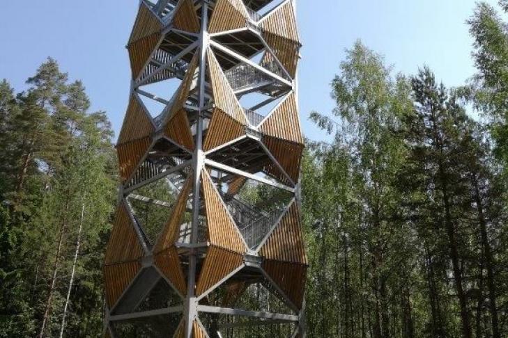 Valgesoo observation tower slide-1