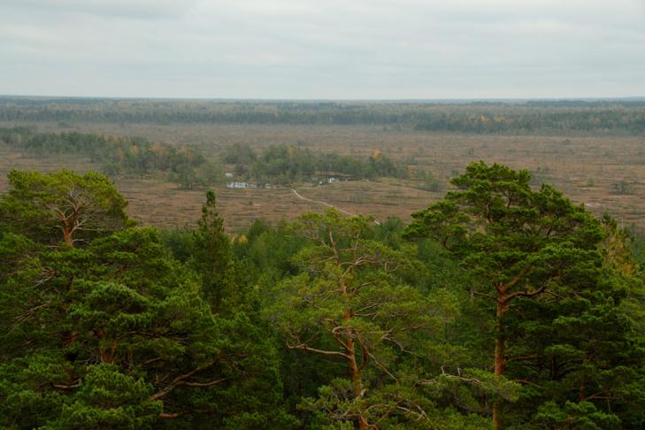 Der Naturlehrpfad Rannametsa-Tolkuse der Staatlichen Forstverwaltung slide-1