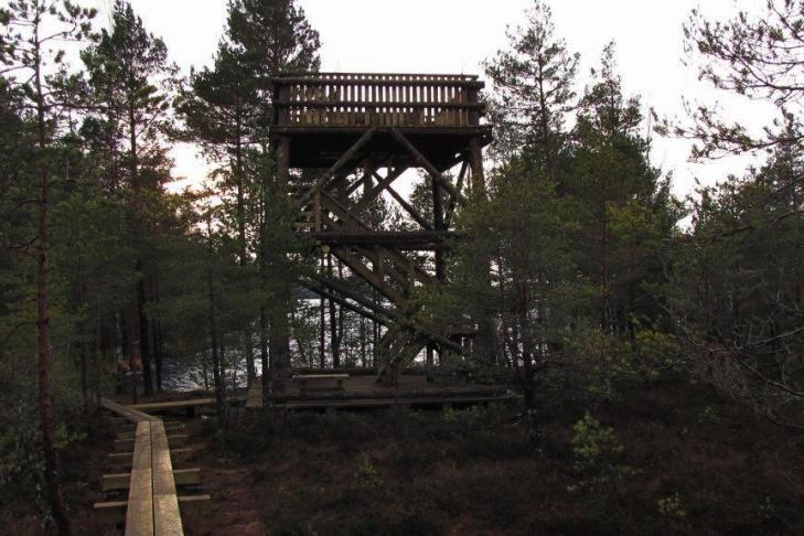 Nigula bog study trail slide-3