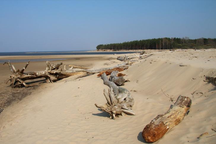 Seaside nature park & Gauja estuary slide-4