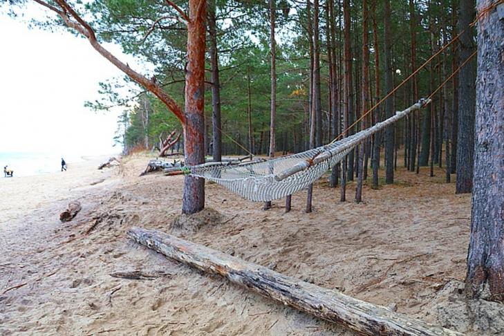 Seaside nature park & Gauja estuary slide-6