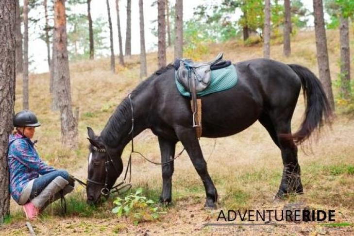 Adventure ride - horseback riding slide-1