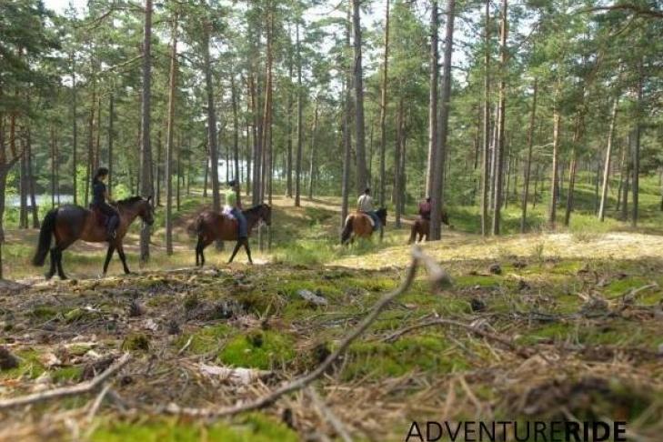 Adventure ride - horseback riding slide-2