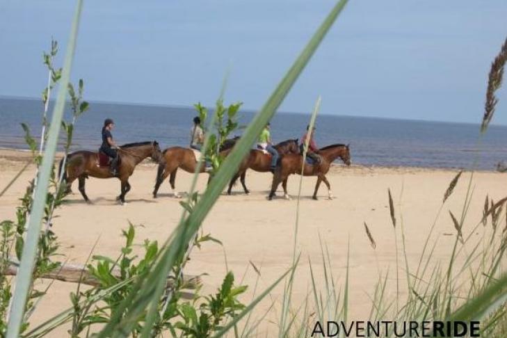 Adventure ride - horseback riding slide-3