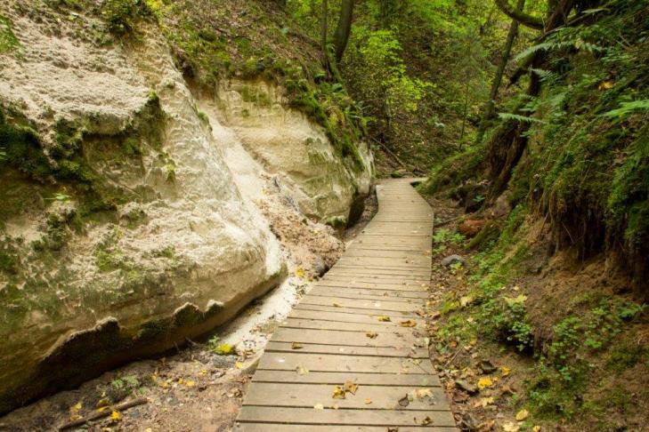 Hiking trail in the Rõuge Primeval Valley slide-8