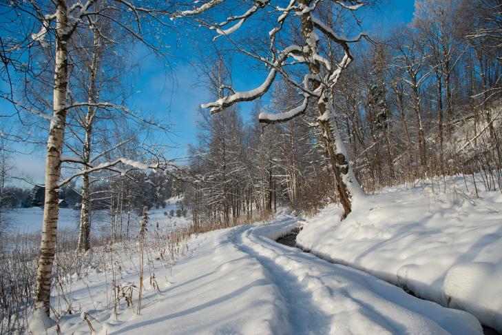 Hiking trail in the Rõuge Primeval Valley slide-9