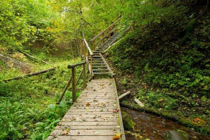 Hiking trail in the Rõuge Primeval Valley slide-2