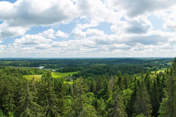 Aussichtsturm auf dem Berg Suur Munamägi slide-4