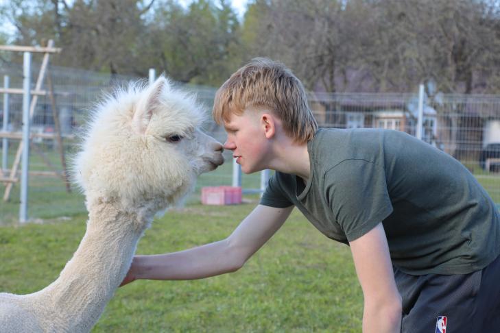Rabatalu saunad ja loomafarm slide-2