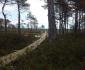 Nigula bog study trail